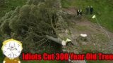 Idiots Cut Down 300 Year Old Sacred Tree