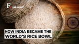 India Leads Rice Exports, How much does the World Rely on India for the Crop? | Firstpost Unpacked