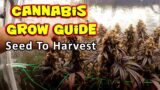 Indoor Organic Seed to Harvest Documentary- Primal Punch