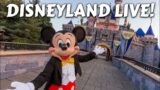 LIVE Disneyland 9-29-2023 #live #disneyland