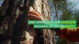 Nature's Symphony: A Visual Journey Through Earth's Wonders