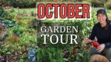 October 2023 Vegetable Garden Tour: Zone 6
