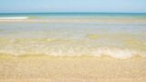 Relaxing ocean waves on a clear tropical beach