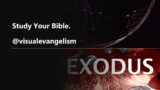 Study Your Bible "Exodus"