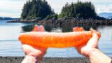 TINY ISLAND Has Sea Cucumbers!? We Ate It…