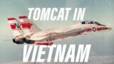 The F-14s that served in Vietnam