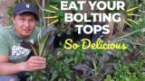 The Secret to Healthy Eating: Eat Your Bolting Garden Vegetable Tops