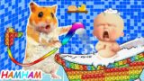 This Is The Way Hamster Help Mom Bathe And Take Care Of Boss Baby | Cutest HamHam