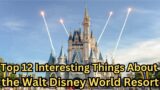 Top 12 Interesting Things About the Walt Disney World Resort, Florida