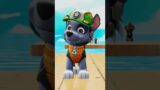 Tracker swings through the Jungle to the rescue! #shorts #pawpatrol
