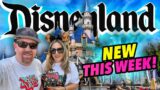 WHATS NEW AT DISNEYLAND THIS WEEK! New Food, Construction, Mystery Flavor Soda & Halloweentime Fun