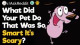 What Did Your Pet Do That Was So Smart It's Scary?
