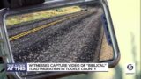 Witnesses document mass migration of toads in Tooele County