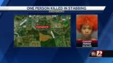 Woman charged after stabbing man to death on Farmington Drive