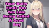 Your Bully Finds Out You Like Being Called a Good Boy [F4M] [Mean] [Enemies to Lovers] [ASMR]