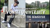 studying abroad at yonsei | third week of classes, sonny angel unboxing, night at hangang