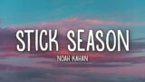 Noah Kahan – Stick Season (Lyrics)