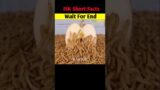 Wait For End #shorts #short #viral #humanity #amazing #help #facts #moralstories