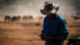 'No other nation is doing this' Matt Canavan on farmers facing forced emission cuts