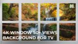 4K Window 50+ Views | Tropics, Rain, Beach, Forest, Jungle | Screensaver for TV, LG, TCL, SAMSUNG
