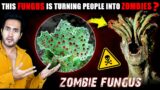 ALERT! This ZOMBIE FUNGUS is Taking Over the World | Why Are Scientists Worried?