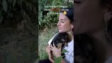 Abandoned Puppy Crying and Calling his Mom Until Someone Hears him #animals rescue #rescue #shorts