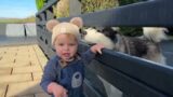 Adorable Baby Boy Talking To His Dogs! (Cutest Ever!!)