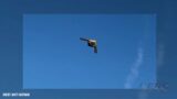 Airborne 11.10.23: 1st Flts: B-21 Raider and Samson Sky, Virgin Galactic Layoffs
