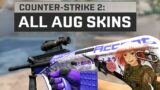 All AUG Skins – Counter-Strike 2
