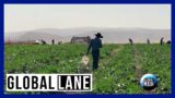 American Cowboys in Israel | The Global Lane – November 23, 2023