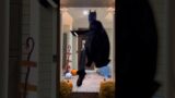 BATMAN: When you Trick or Treat in Gotham tiktok #batman #shorts