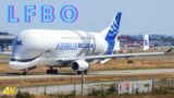 BELUGA XL6 & A350-900 AI FLEET SERVICES  "Plane Spotting"