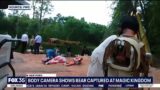 Black bear sneaks into Disney's Magic Kingdom: Bodycam video shows how officials got it down