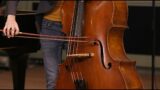Bottesini : Fantasia sulla "Norma" di Bellini – T. Voisin, Double Bass – M.van Schoonhoven, Piano