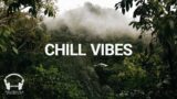 Chill Vibes – Smooth Beats for Relaxation, Productivity and Serenity