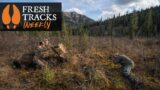 Conservation Easements Explained + BIG DISCOUNT ON SITKA GEAR! | Fresh Tracks Weekly (EP.56)