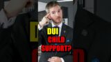 DUI drivers shocked with new child support law