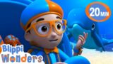 Dolphins of the Sea + More | Blippi Wonders | Moonbug Our Green Earth