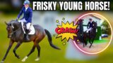 FRISKY YOUNG HORSE! | EROL GOES TO A DRESSAGE EVENT || VLOG 117