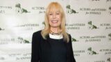Facebook Data Indicates: Loretta Swit Is a Forgotten Figure for the Youth