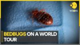 From Hong Kong to Paris, world on high alert for bedbugs | Latest News | WION