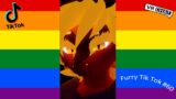 Furry TikToks that Create a Symphony of Joy #60