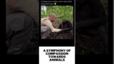 Harmony in Kindness: A Symphony of Compassion Towards Animals | #ytshorts #trendingshorts #viral