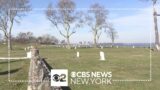 Hart Island opens to public for 1st time