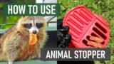 How to Use Animal Stopper Granular Repellent [Humane Animal Control]