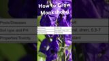How to grow monkshood