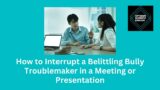 How to interrupt a belittling bully troublemaker in a meeting or presentation
