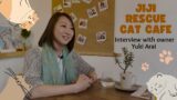 Interview with Yuki Arai: Owner of Jiji Rescue Cat Cafe