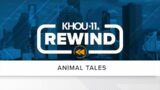 KHOU 11 Rewind: Animal tales