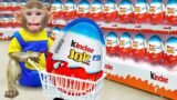 KiKi Monkey doing shopping in Kinder Joy eggs store | KUDO ANIMAL KIKI